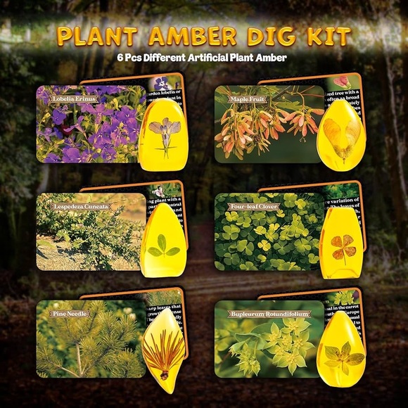 STEM Amber Dig Kit - Picture 2 of 3